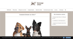 Desktop Screenshot of dressagechien.net